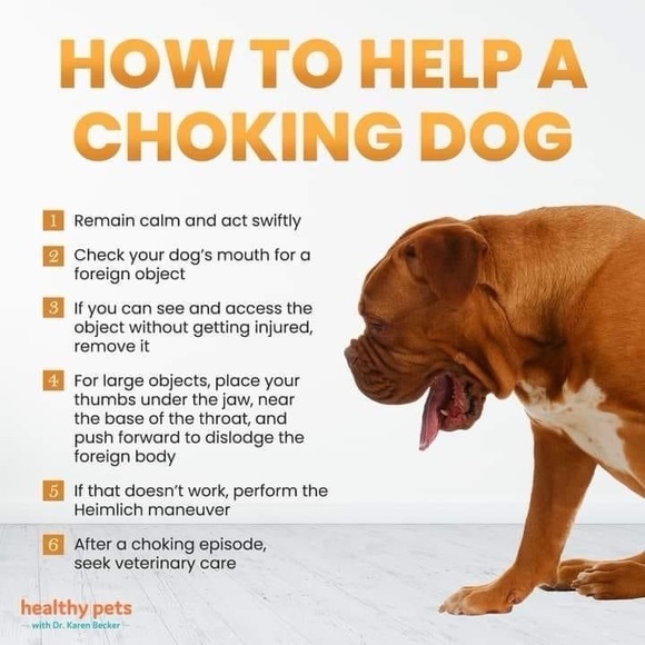 $1 DOG PIN/BROOCH. ENAMEL/METAL. NEW. $1 WITH ANY $10 ORDER OR MORE - Picture 7 of 16